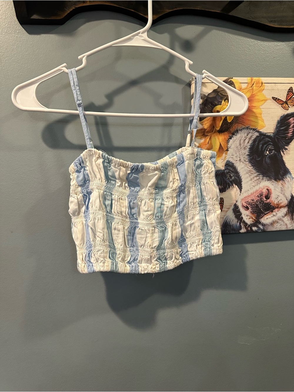 Smocked Striped Crop Tank Top - Blue & White